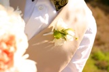 image img_1913-jpg